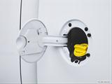  Gas cap open photo